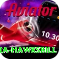 antigua hawksbill Games (Casino & Earning) VIP v1.1.8