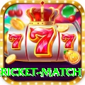bangladesh cricket match VIP Edition v2.4.3