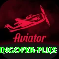 bingopkr Plus v5.9.4