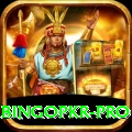 bingopkr - Pro Earning App
