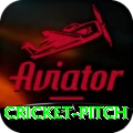 cricket pitch Ultimate v3.4.9