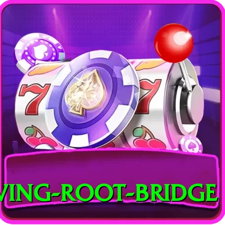 dawki living root bridge Pro1 v5.4.3 - 2