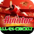 fastest ball in cricket Pro Max v5.6.3