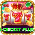 fastest ball in cricket King 2024
