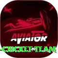 hong kong cricket team Pro Edition v5.9.4