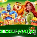 india cricket match Apps (Tools & Injectors) Turbo v4.1.4