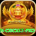 india pakistan cricket Money Champion v5.3.4