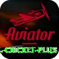international cricket Earn Turbo v5.5.1