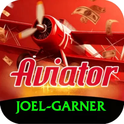 joel garner VIP Pro v3.8.8 - 2