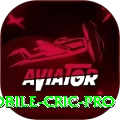 mobile cric Ultimate PK v1.5.1