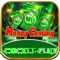 most runs in international cricket Slots Ultimate v2.3.8