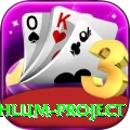 neelum jehlum project Deluxe Pro v4.5.7