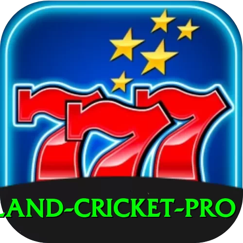 new zealand cricket Deluxe Casino App - 2