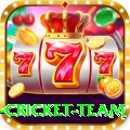 new zealand cricket team Plus Edition v5.4.0