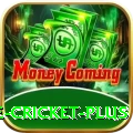 online cricket - King Earning App