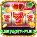 pakrummy Premium v5.4.1