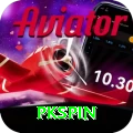 pkspin Premium Plus vv2.2.3