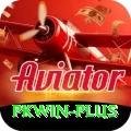 pkwin Max Pro vv3.3.0