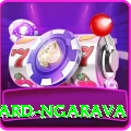 richard ngarava Pro v4.4.7
