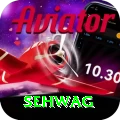sehwag Apps (Tools & Injectors) Pro v4.1.8