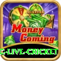 smartcric live cricket Pro Max v3.5.8
