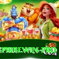 spribewin Pro Edition v2.0.8