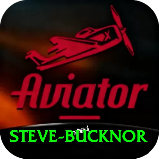 steve bucknor Master Pro v3.8.4 - 2