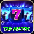 t20 match Gold Edition v2.2.2