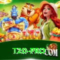 t20 Official v2.8.9