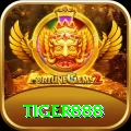 tiger888 Gold Pro vv1.3.7