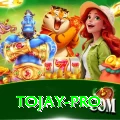 tojay Turbo Pro v2.6.6