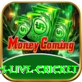 watch live cricket Plus Edition v5.8.7