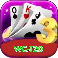 wc t20 Pro1 v1.8.7