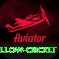 willow cricket Games (Casino & Earning) VIP v1.4.1